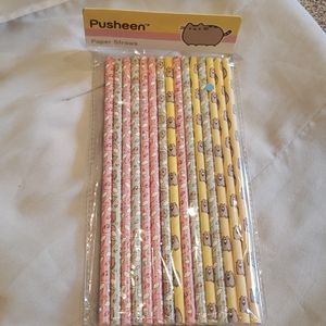 2/$5 NEW Pusheen paper straws